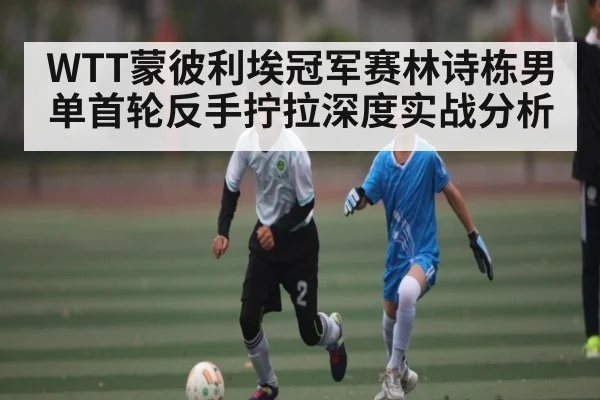 WTT蒙彼利埃冠军赛林诗栋男单首轮反手拧拉深度实战分析
