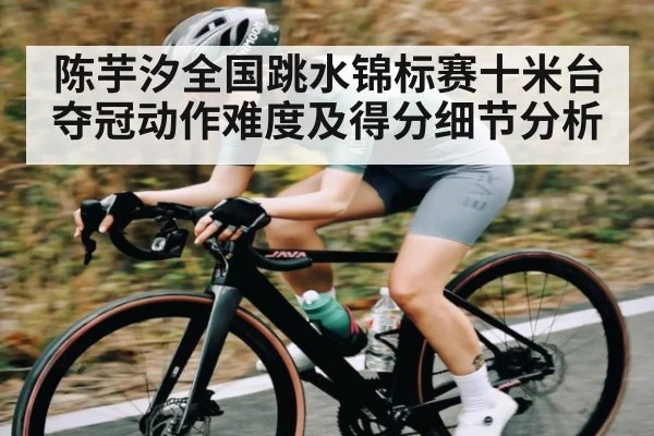 陈芋汐全国跳水锦标赛十米台夺冠动作难度及得分细节分析